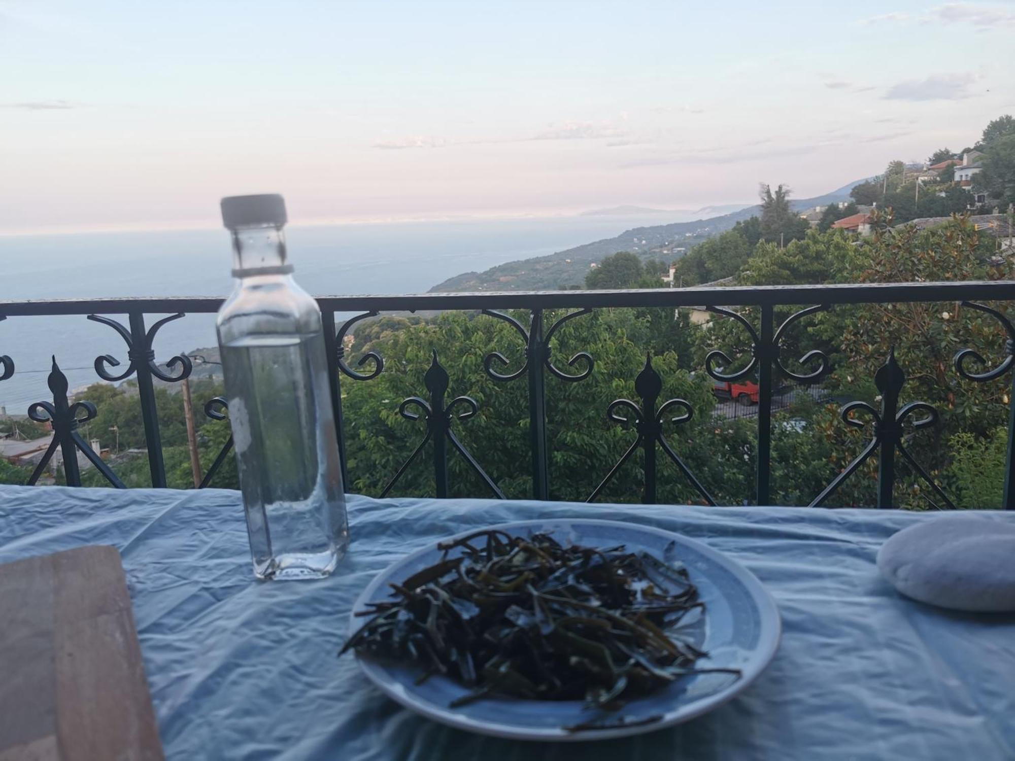 Guest House Pafili Загора Экстерьер фото
