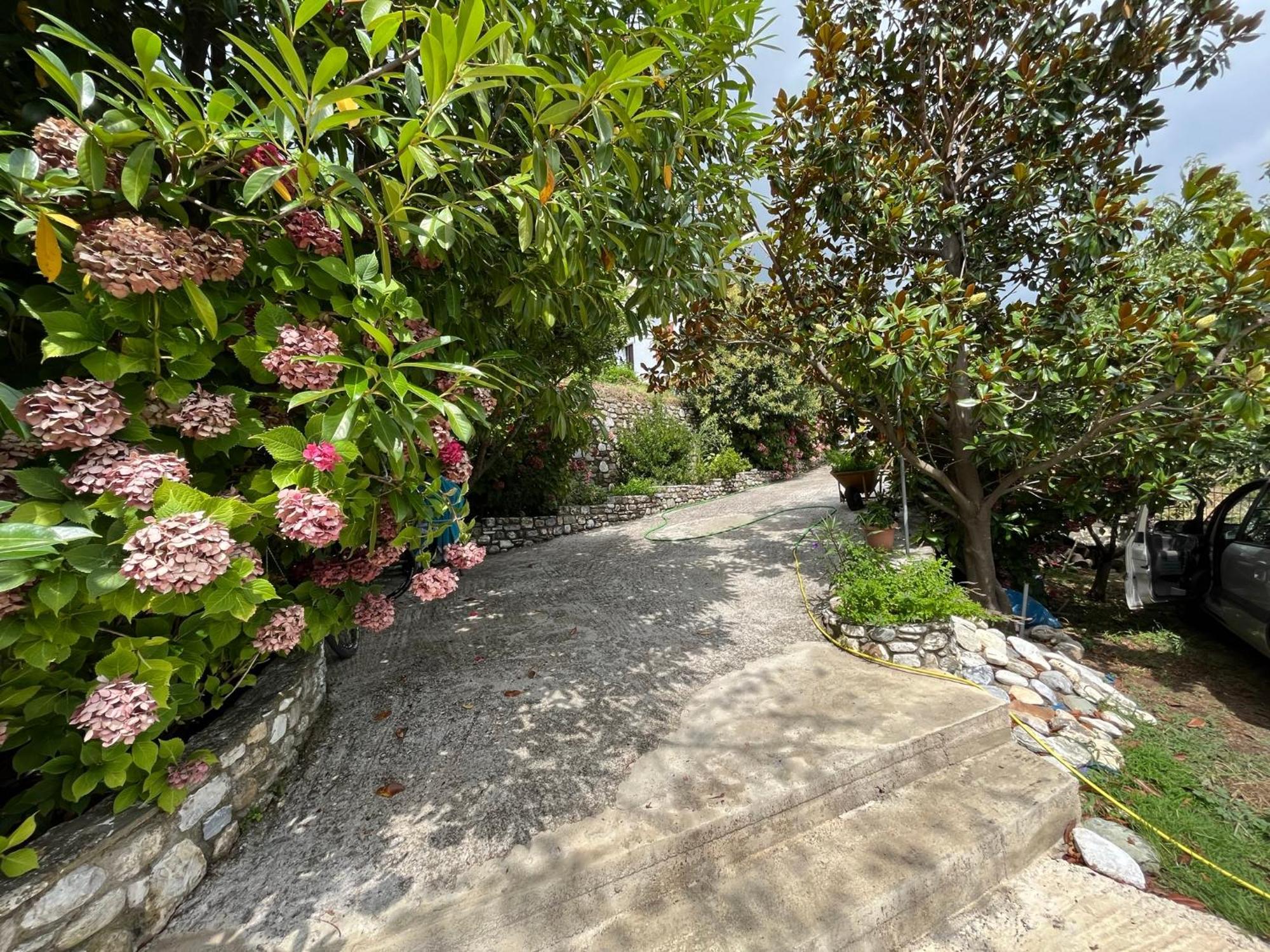 Guest House Pafili Загора Экстерьер фото